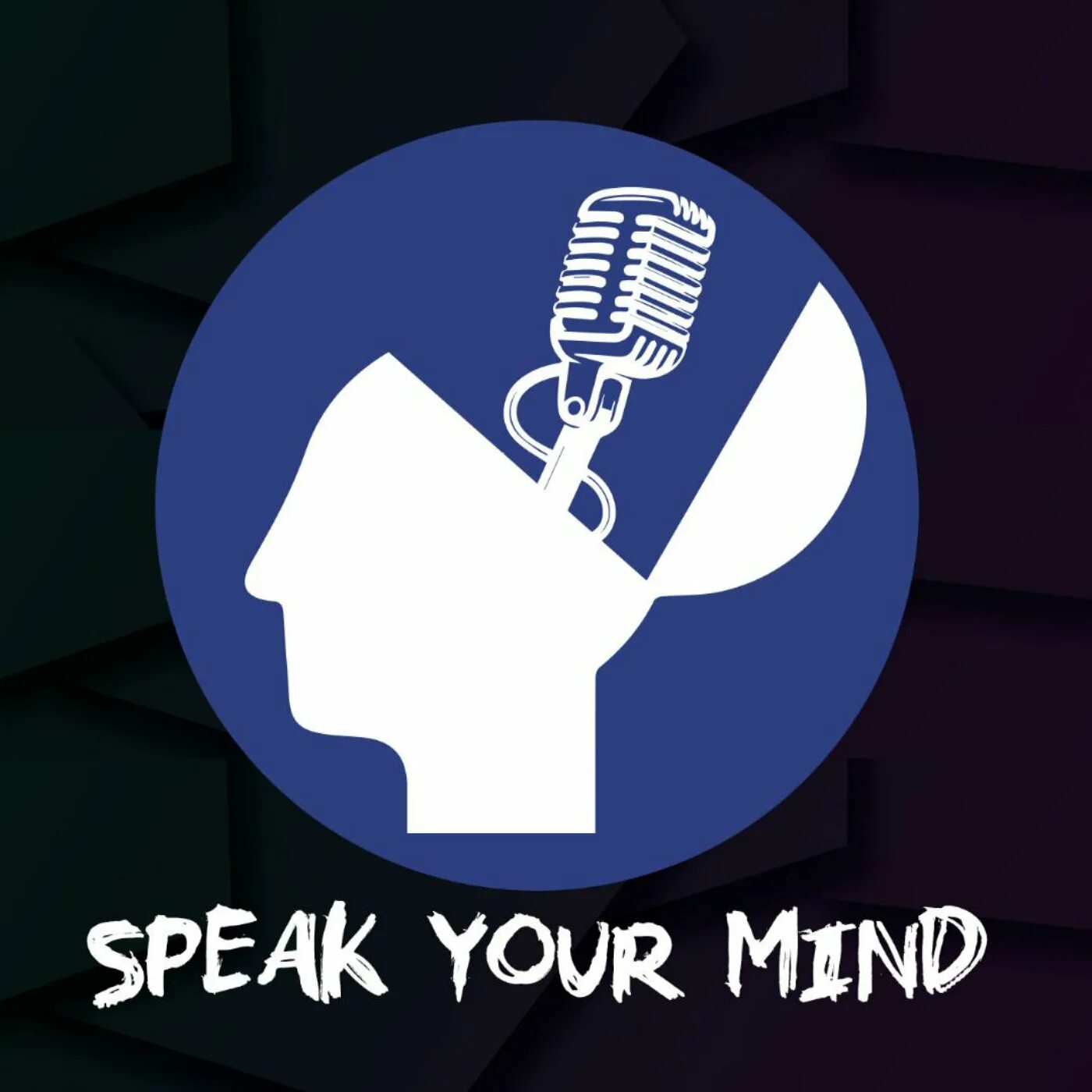 Speak idiom. Speak your Mind. Speak your Mind 1. Speak your Mind учебник. Idiom speak my Mind.