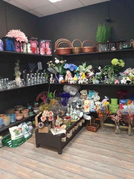 М открылись магазин цветов. Мягкие игрушки, которые продаются в цветочных магазинах. Цветы Михайловск. Вот в цветочных магазинах продают цветы.