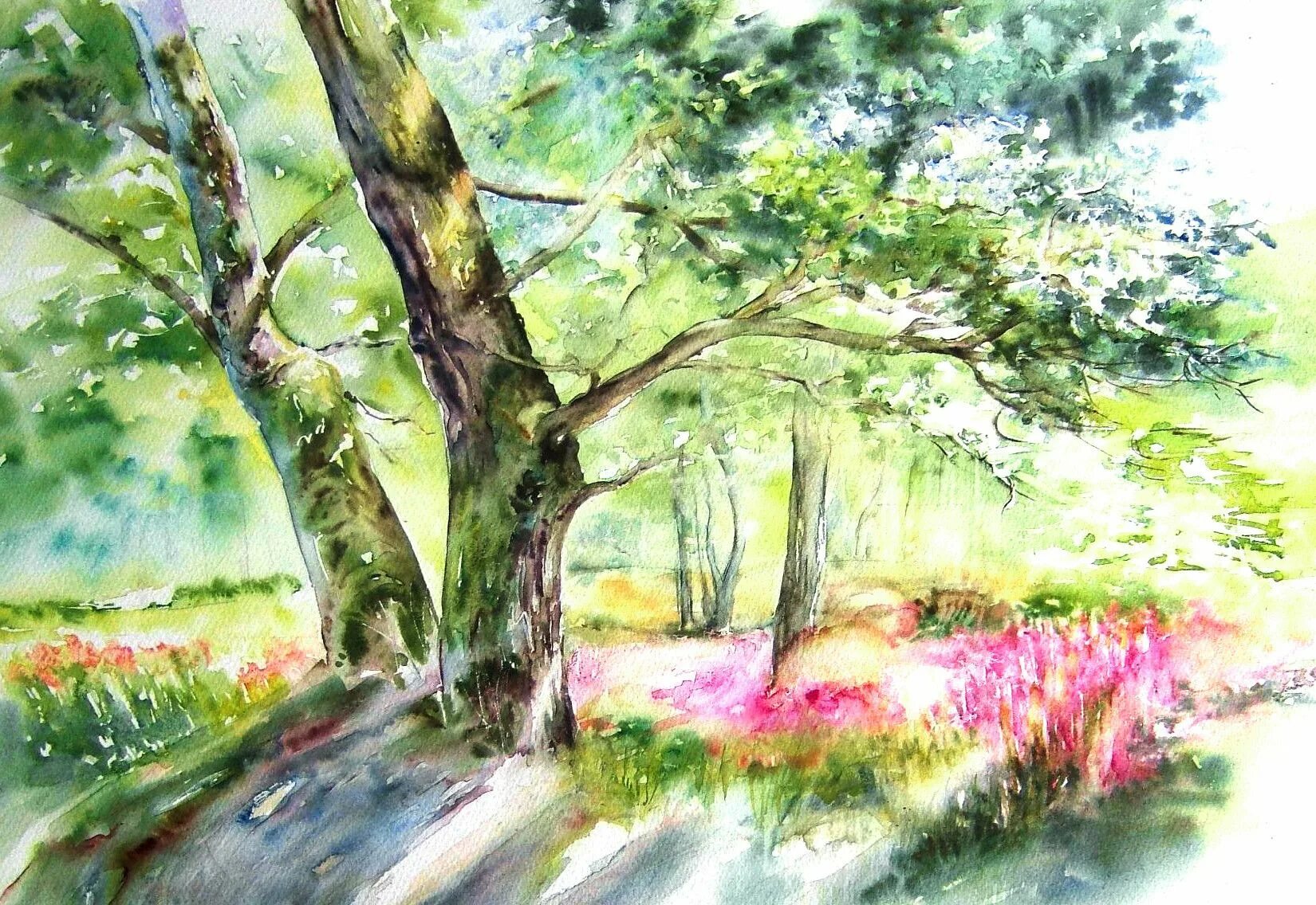 Сад цветными карандашами. Художник-самоучка roselyne farail. терри харрисон акварельные пейзажи. летний пейзаж акварелью. пейзаж акварельными карандашами.
