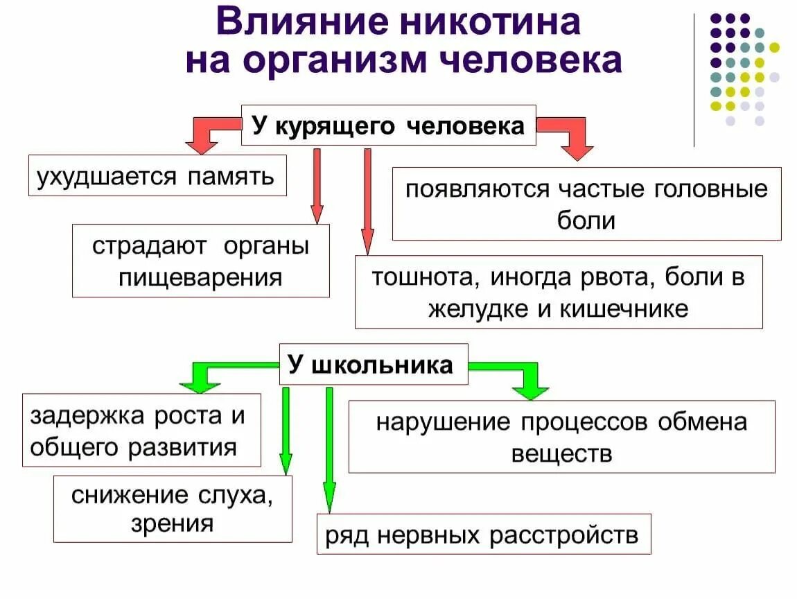 Никотин обмен веществ. Влияние никотина на организм. Механизм воздействия никотина на организм человека. Влияние никотина на организм человека схема. Механизм действия никотинат схема.