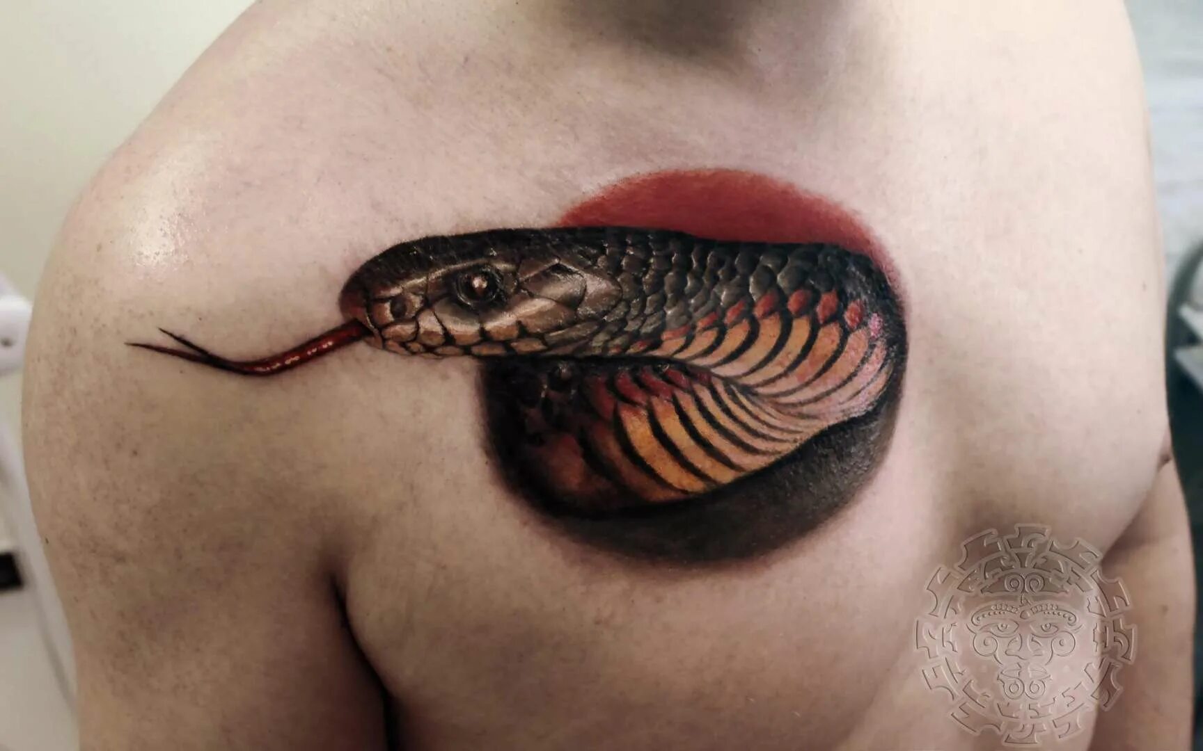 Тату змеи на груди. Тату змея реализм. Татуировка змеи на груди. Тату голова змеи на груди. Татуировка змея на груди.