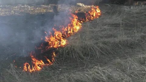 И подтишка ни пасть жечь