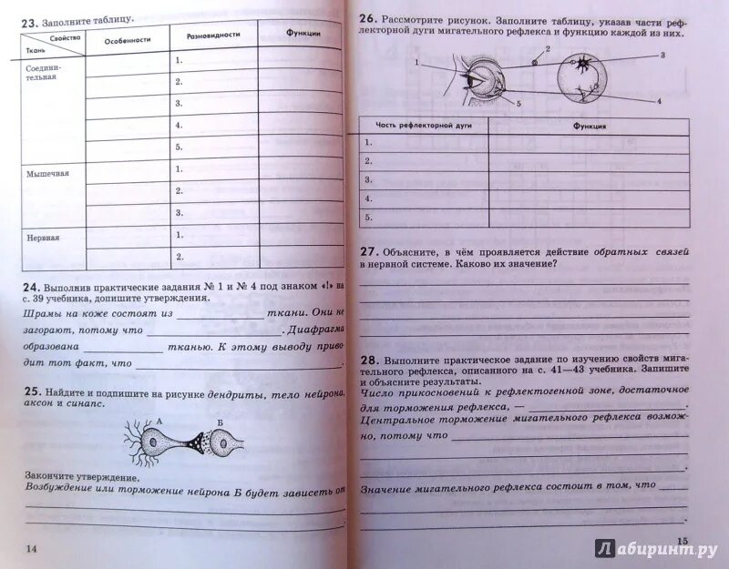 Рабочая тетрадь биология беляев 8