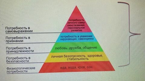 Потребности низшего и высшего порядка