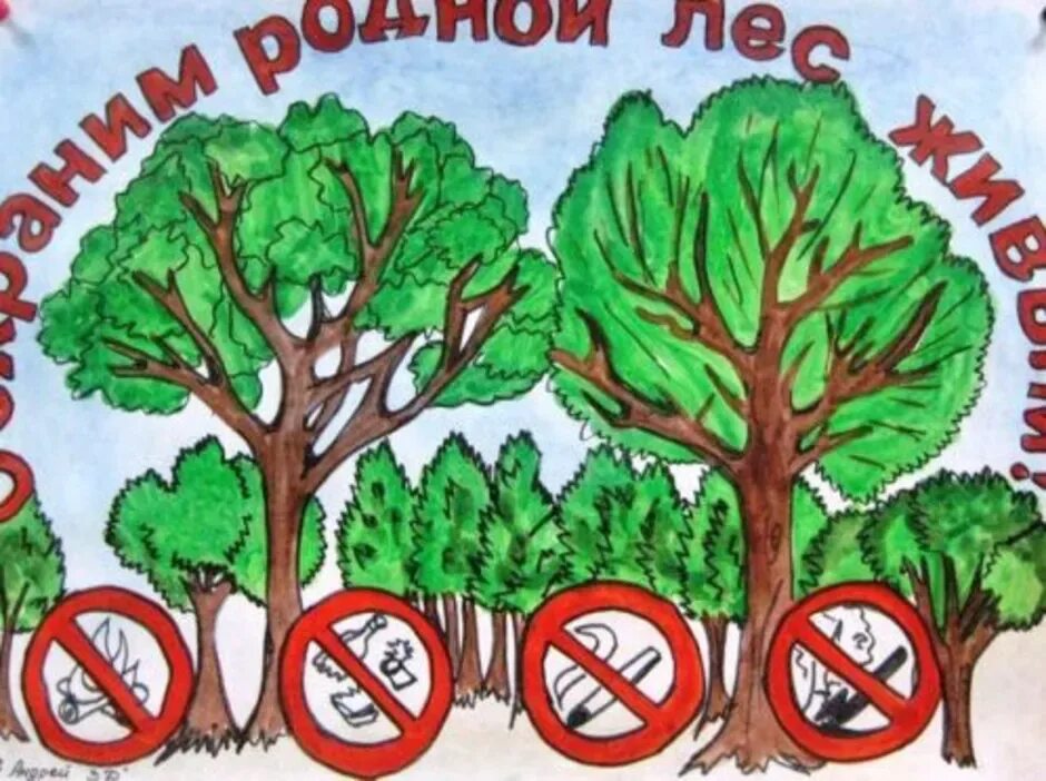 Сохраним природу леса. Плакат сохранение леса. плакаты о защите деревьев. плакат на тему сохранение природы. плакат на тему сохраним лес.