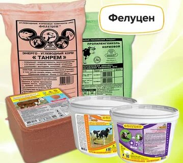 Капитал прок
