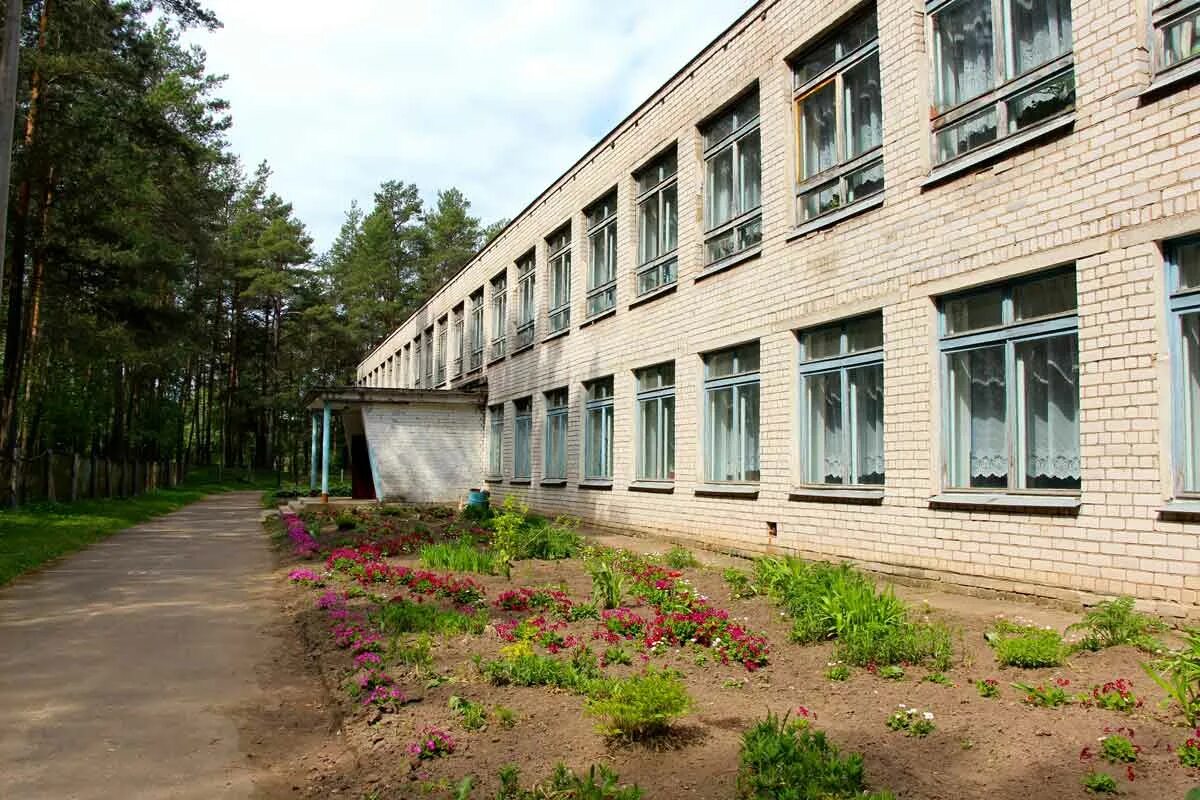 Красавкская школа Тихвинский район. Сайт Борской школы Тихвинского района. Мисовская средняя общеобразовательная школа. Голяткинская средняя общеобразовательная школа. Моу кондратьевская школа