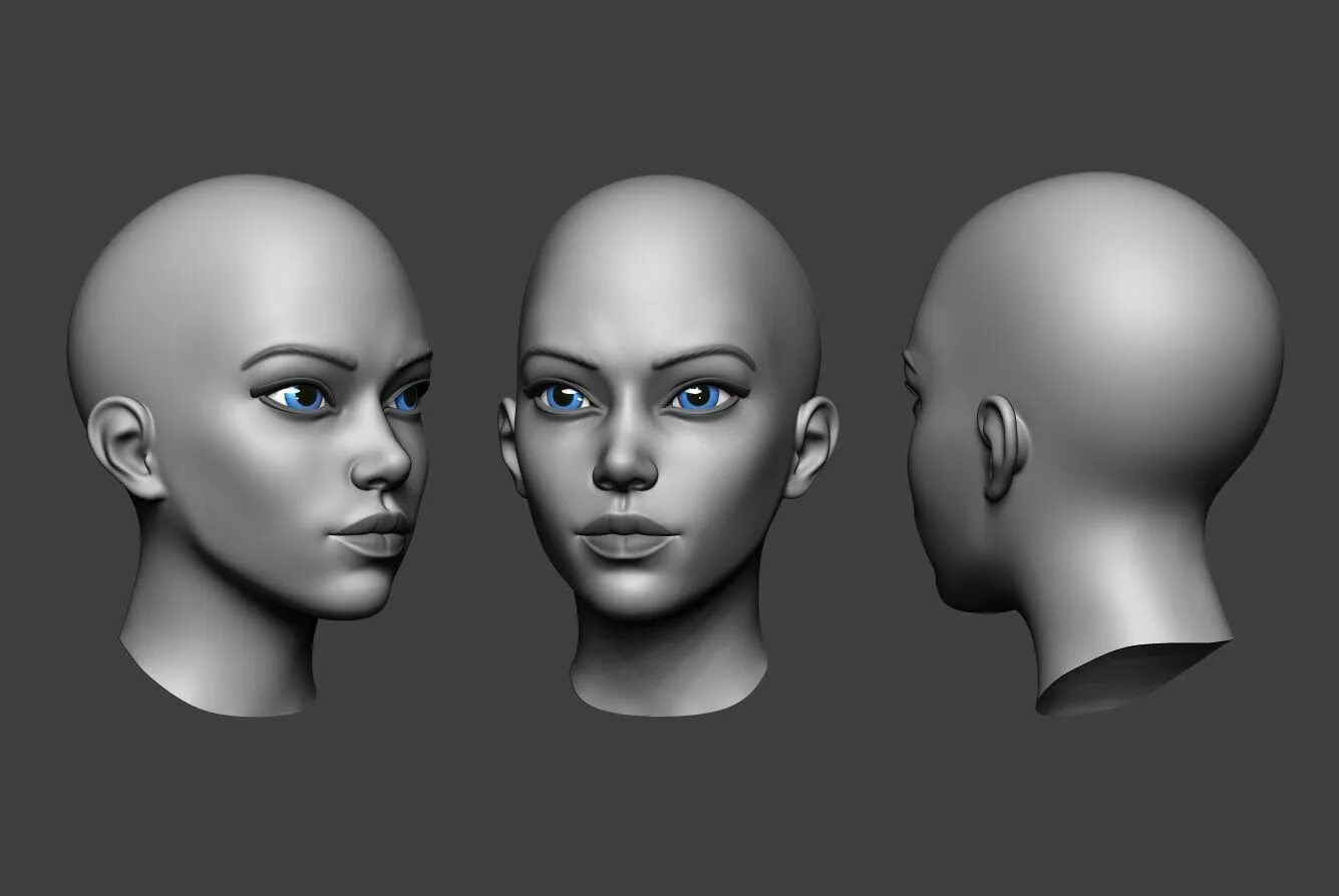 3д моделирование в Zbrush. Модель женской головы. 3d модели. 3д модель головы. 5 д модель