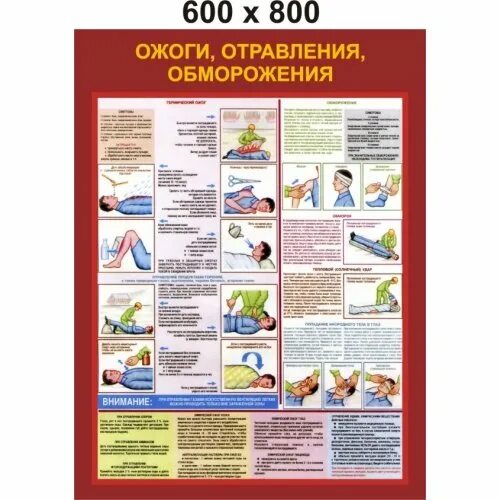 Ожоги и обморожения кратко. Стенд ожоги отравления обморожения. Ожоги отравления обморожения плакат. Ожоги отравления обморожения первая помощь. Оказание первой помощи при ожогах, обморожениях, отравлении..