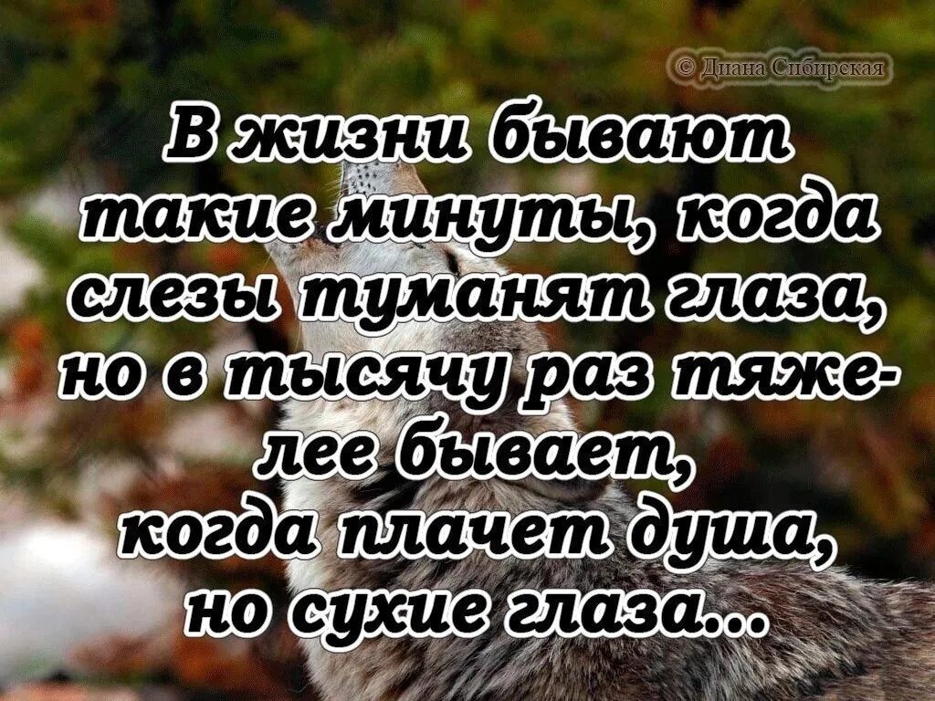 Тяжелее когда плачет душа. В жизни бывают такие минуты. В жизни бывает такие. Бывает в жизни что слезы туманят глаза. Бывают такие минуты к.