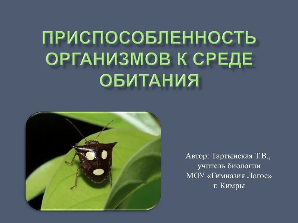 Среды обитания 11 класс биология. Приспособленность организмов к окружающей среде. Приспособленность организмов к среде обита. Приспособление организмов к среде обитания. Приспособления организмов к условиям среды обитания.