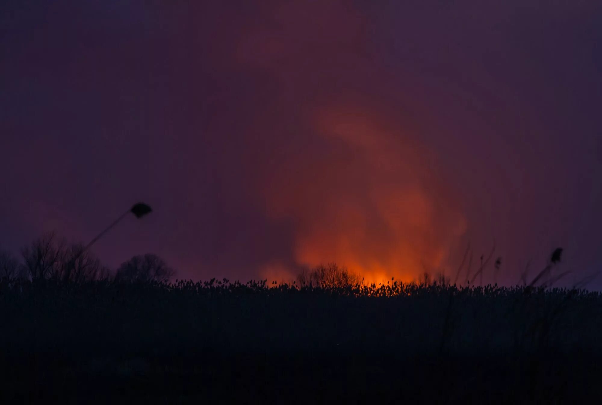 зарево пожара. месяц как зарево пожара начинает. лесные пожары. месяц как зарево пожара начинает. зарево от пожара в лесу.