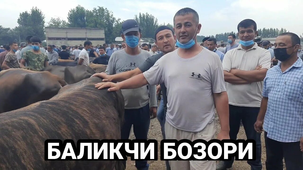 Баликчи тумани урмонбек. Узбекистан андижон олтинкул. Баликчи тумани. Погода андижан баликчи тумани. Андижан баликчи тумани.