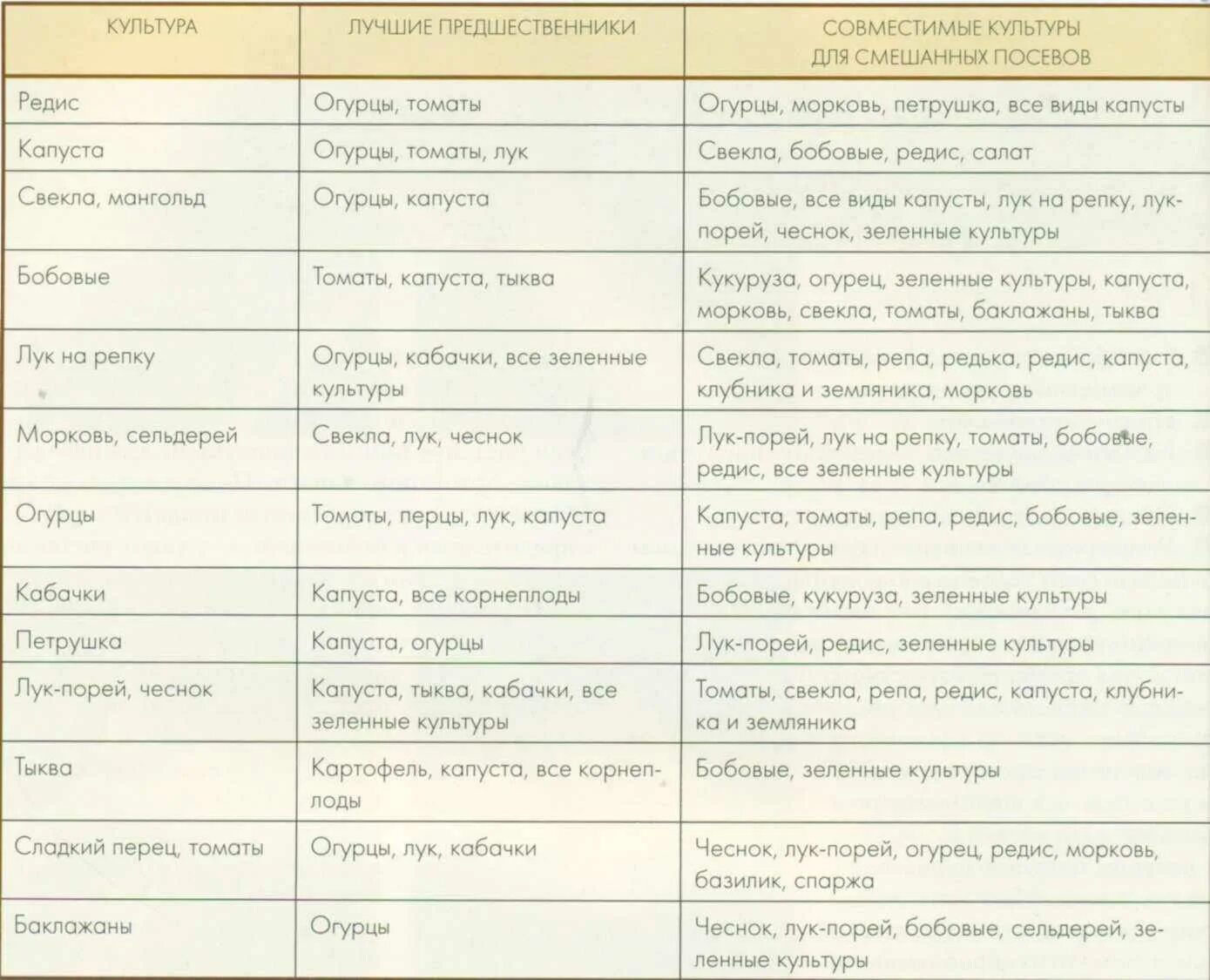 Какие овощи можно сажать после. Культуры предшественники овощей таблица. Посадка овощей предшественники таблица. Таблица предшественников овощных культур при посадке на огороде. Таблице севооборота и совместимости растений.