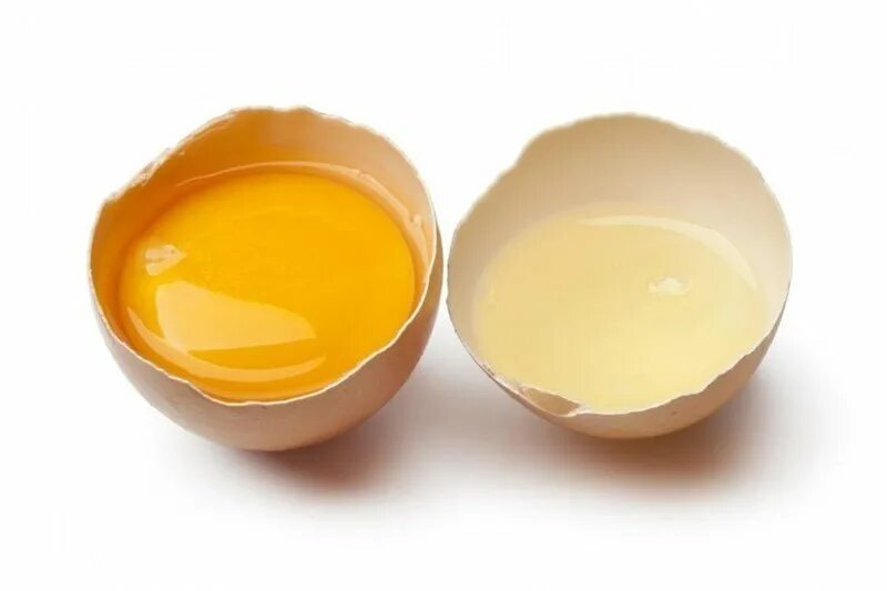 Яичные белки. Яичные белки на белом фоне. Желток яйца. Желток яйца на белом фоне.
