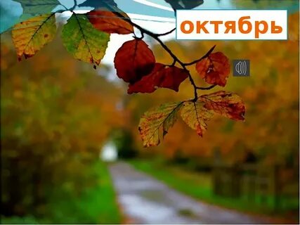 Когда наступит лето видео