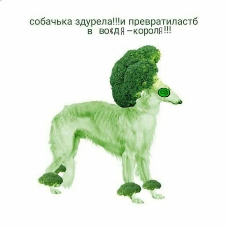 Превращается в собачку