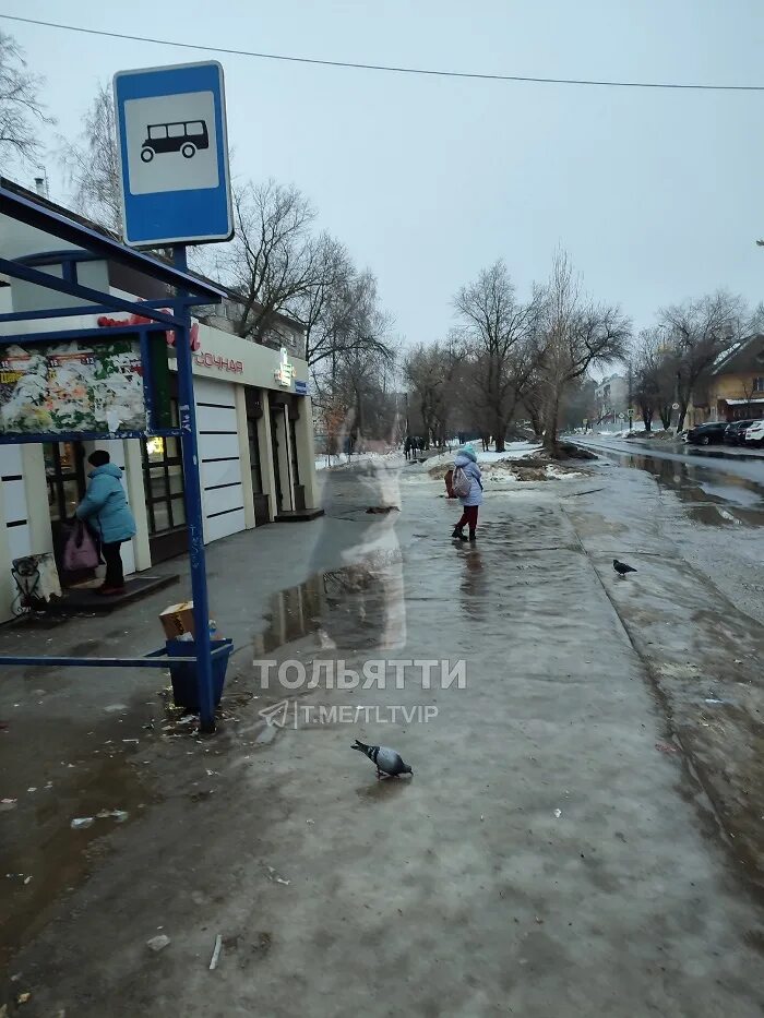 Тольятти пожаловаться. Тольятти с воздуха. Тольятти пожаловаться. Зебра пешеходный переход. Жители тольятти.