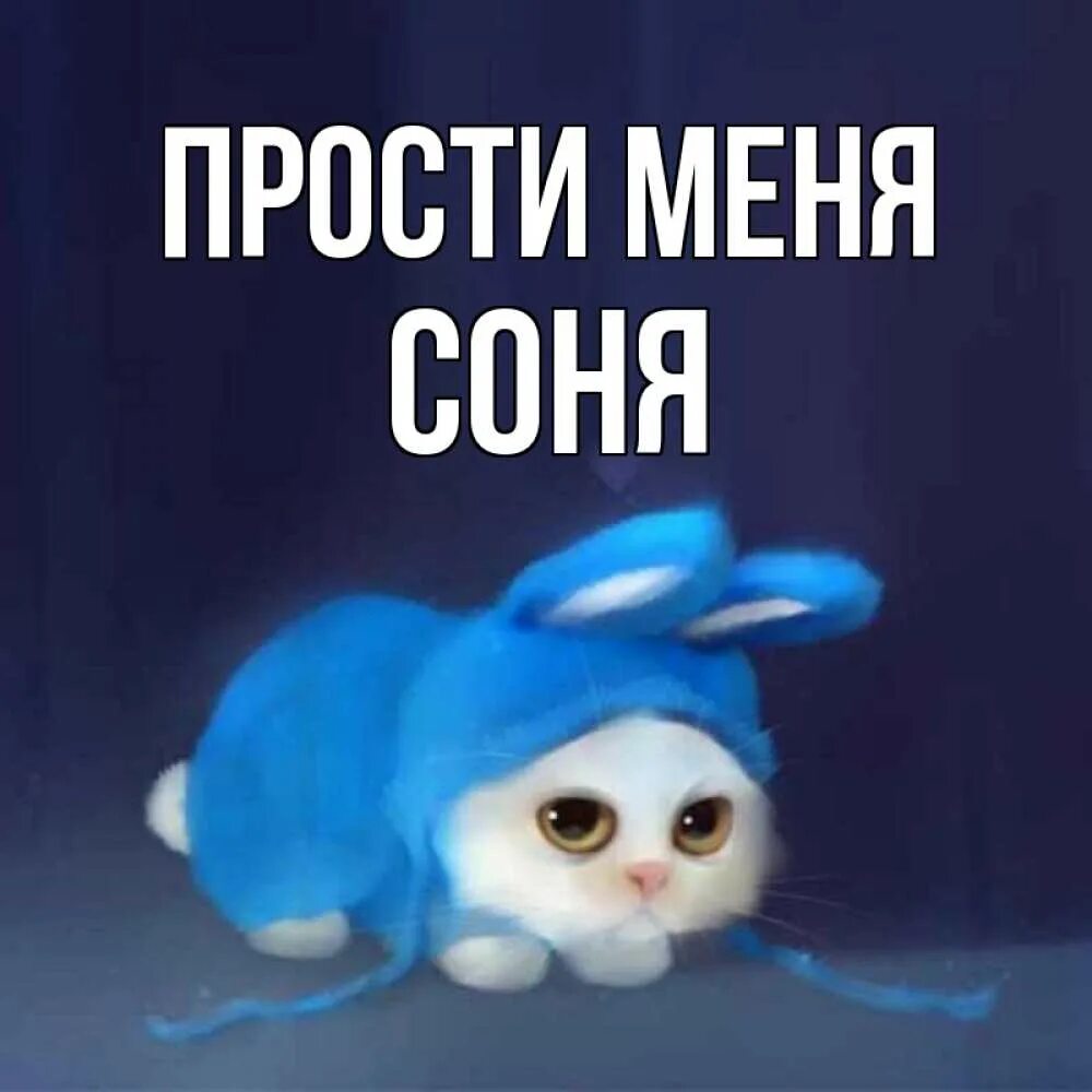 Прощение поле