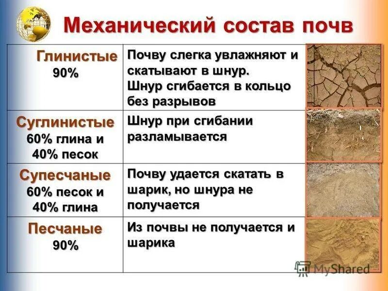 Глина суглинок супесь таблица. Суглинистые и супесчаные почвы. Глинистые суглинистые супесчаные и песчаные почвы. Глинистая суглинистая супесчаная Песчаная. Восточно европейская равнина особенности механического состава почв