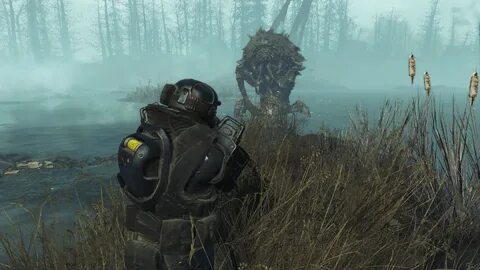 Far harbor