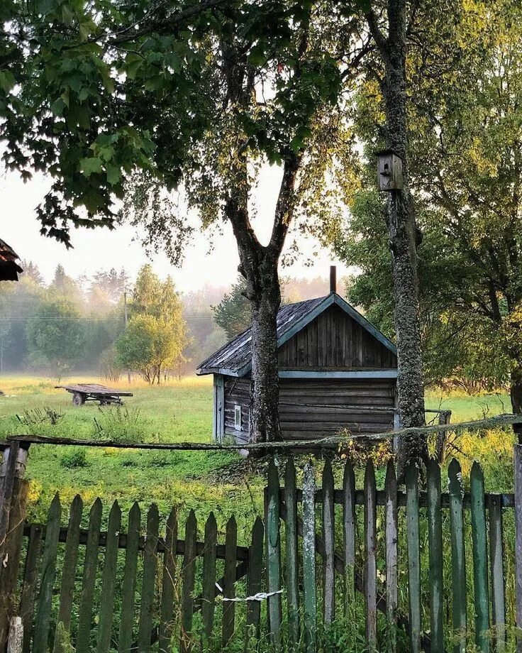 Красоты русской северной деревни. Часть первая. Владимир Шулояков Дзен