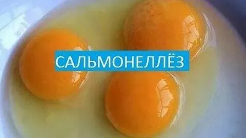 Как выглядит сальмонелла в яйце