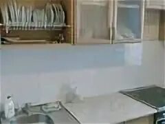 Аренда 1-комнатной квартиры № 686914004: Генерала Дюсенова, Павлодар за 1300