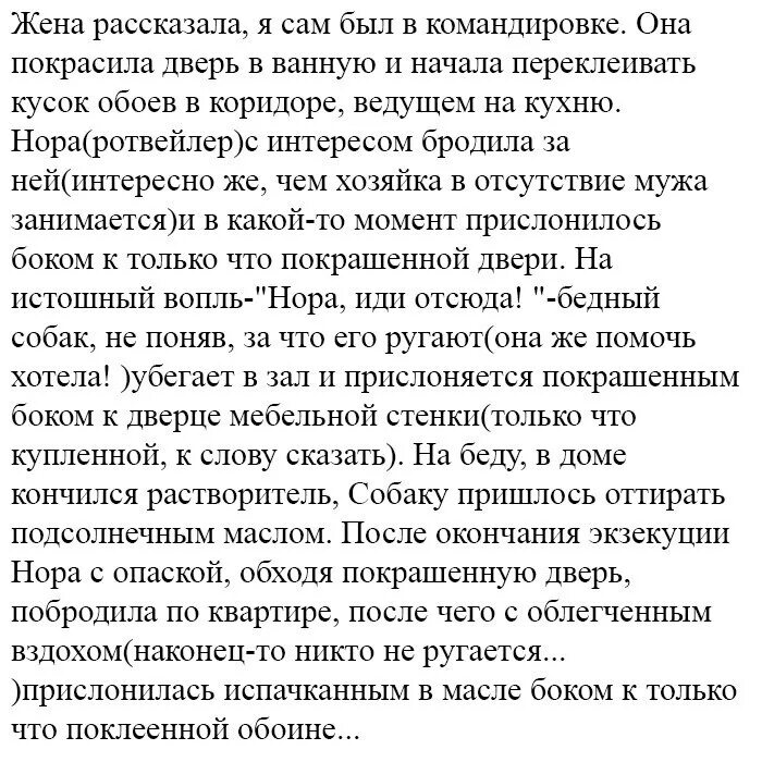 Необычная история рассказ. Смешные истории. смешные рассказы из жизни. интересные рассказы из жизни. интересные рассказы из жизни людей.