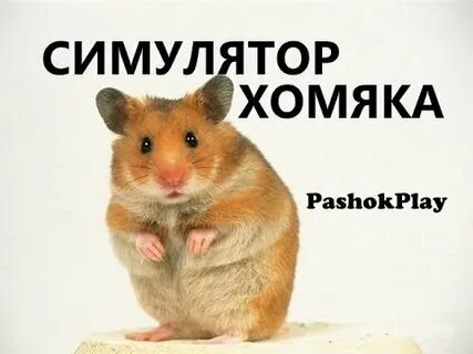 Стоит играть в хомяка