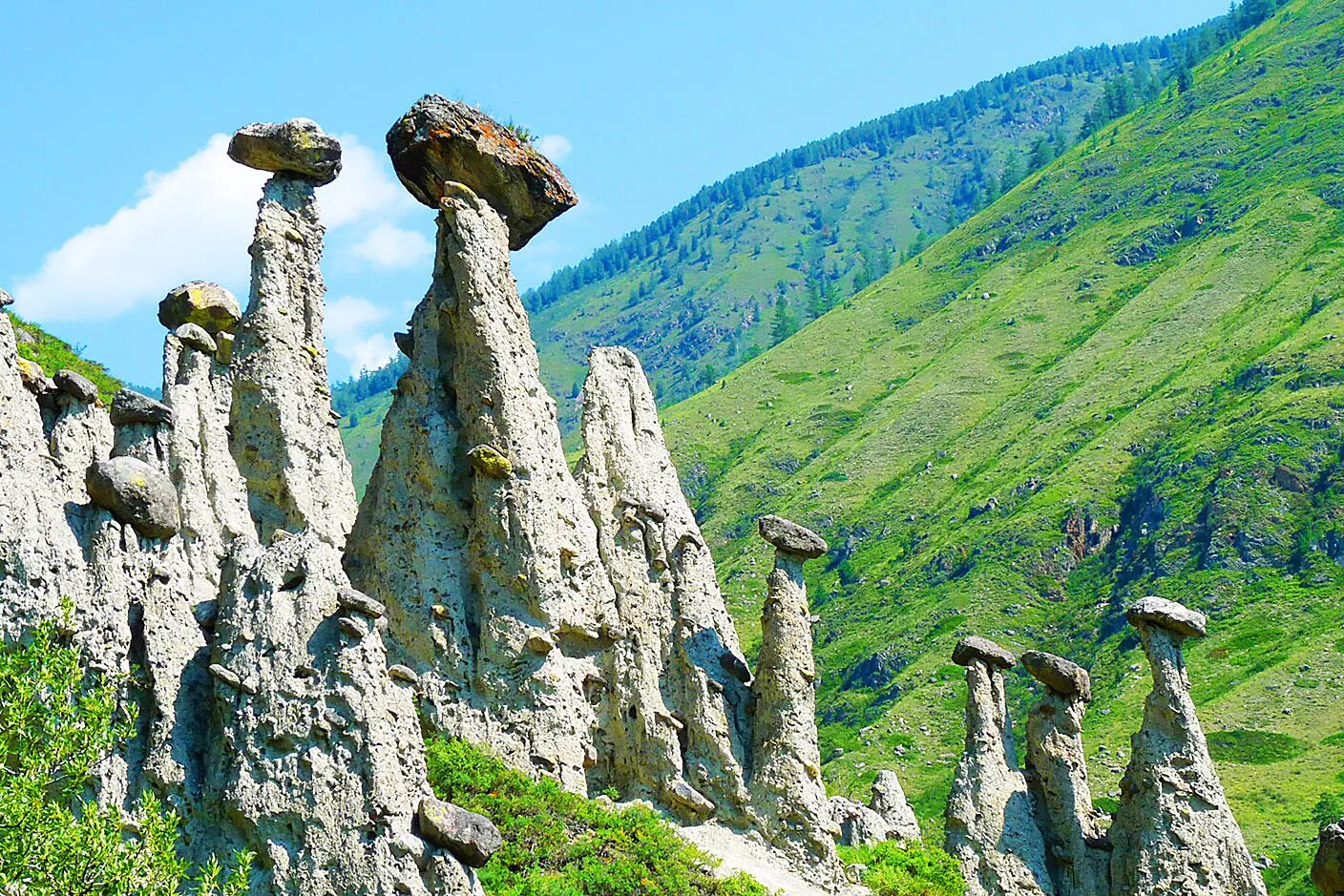 Деятельность республики алтай. Урочище Аккурум каменные грибы. Каменные грибы горный Алтай. Урочище Аккурум Алтай. Каменные грибы Телецкое озеро.