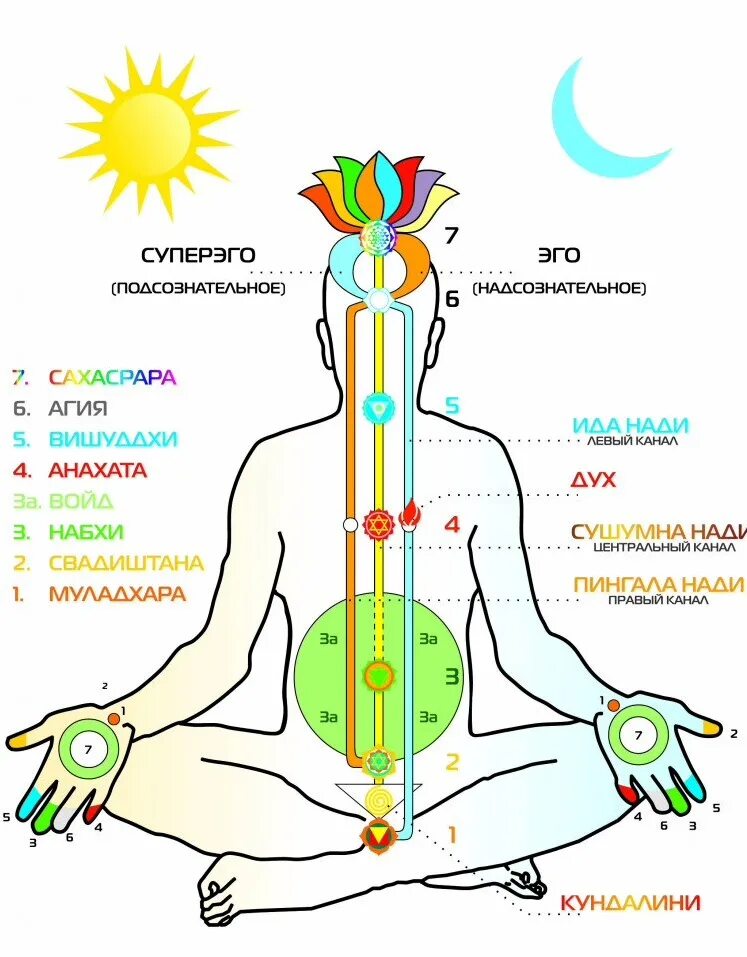 Энергетические+чакры+человека+схема. Энергетические центры человека схема. Энергетическая система человека чакры каналы меридианы. Чакры схема. Денежный канал где