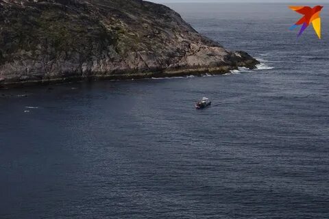 Бухта в баренцевом море