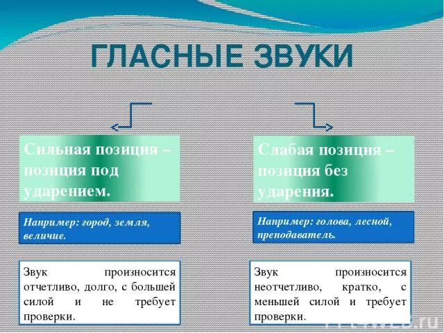 Сильная позиция букв. Сильные и слабые позиции звуков. Слабая позиция гласных звуков. Сильная позиция звука. Гласная в сильной и слабой позиции.