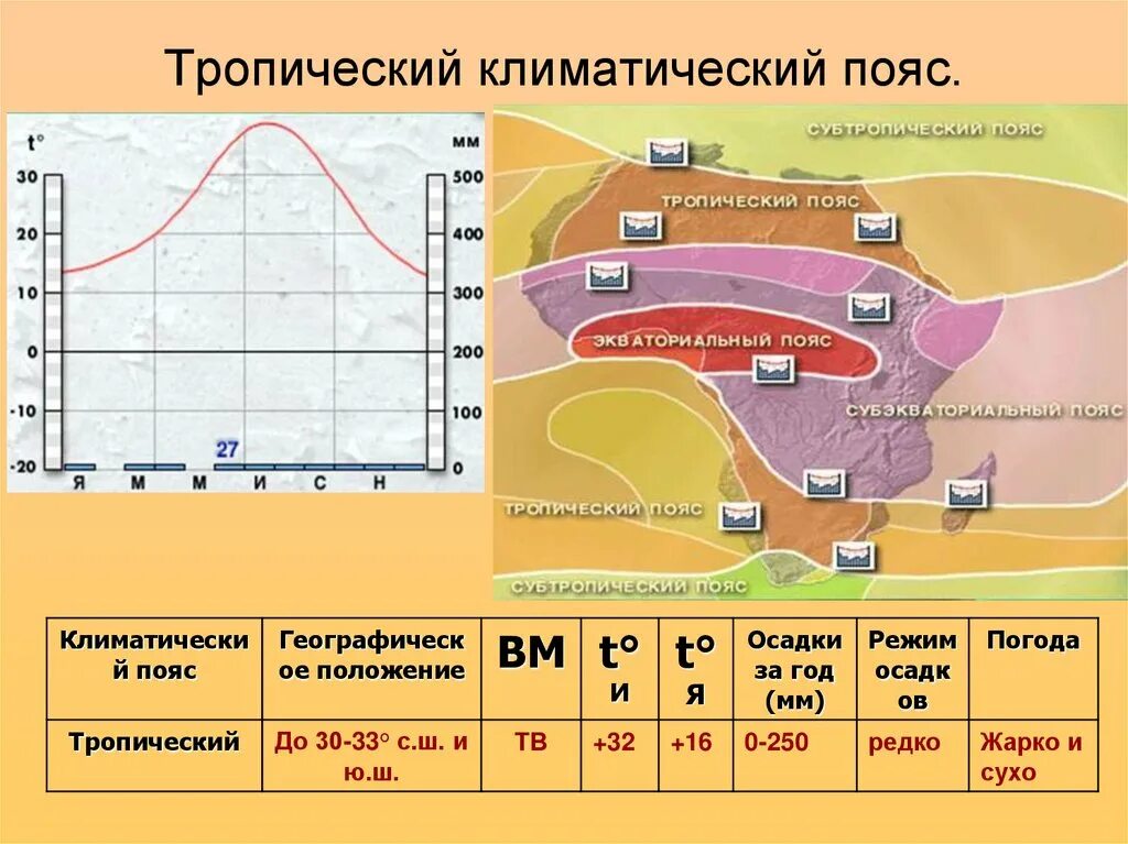 Тропический климатический пояс. Диаграмма тропического климата. Секторы тропического климата. Тропический климат для детей.