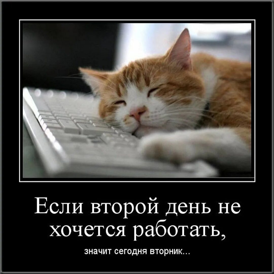 Быть добрым на работе