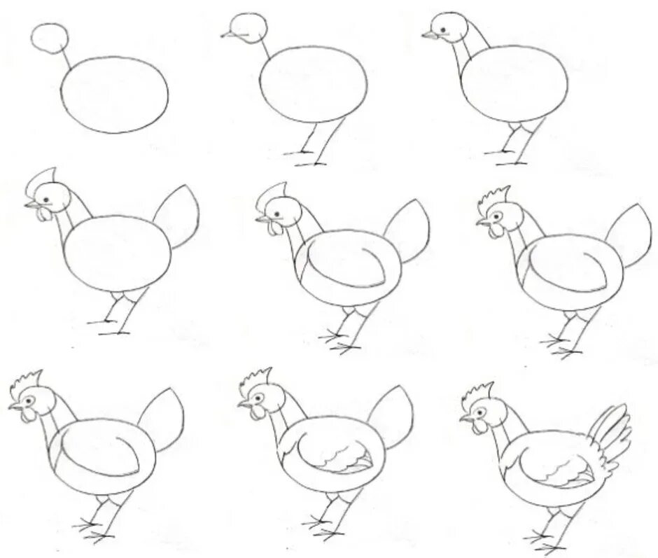 Поэтапное рисование курицы. Поэтапное рисование курицы для детей. Курица рисунок карандашом. Как рисовать курицу поэтапно.