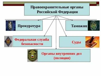 Правительство относится к правоохранительным органам