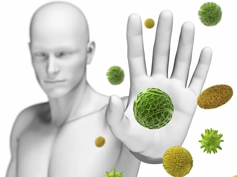 Artificial immune system. Artificial immune system