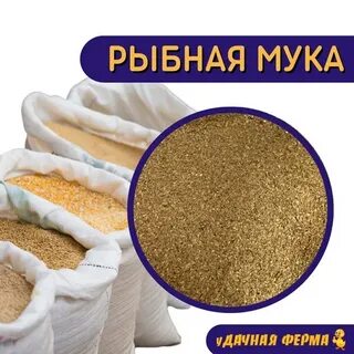 Мук 40