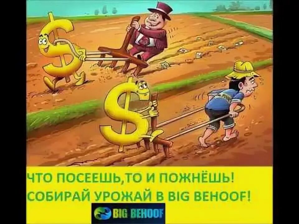 Что посеешь то и пожнешь что значит. Что посеешь то и пожнешь. что посеешь то и пожнешь плакат. что посеяли то и собрали ,. что посеешь то и пожнешь мем.