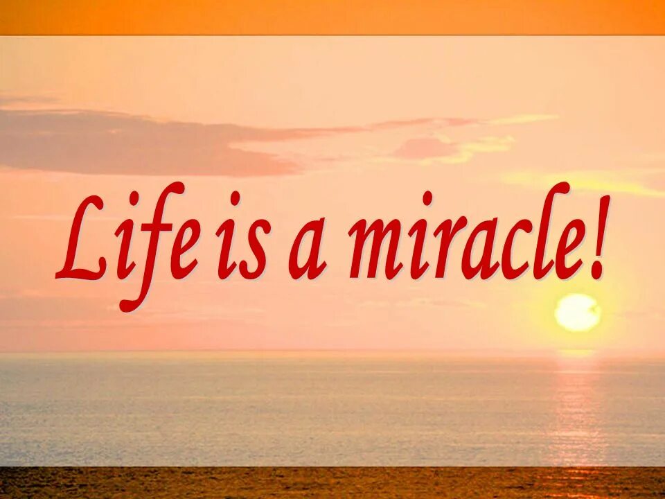Quotes there is. Life is miracle. Miracle morning. Life is a miracle. Life is miracle.
