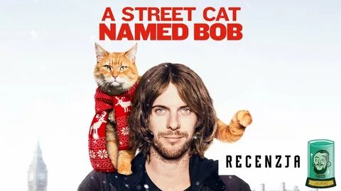 Hello street cat 4chan