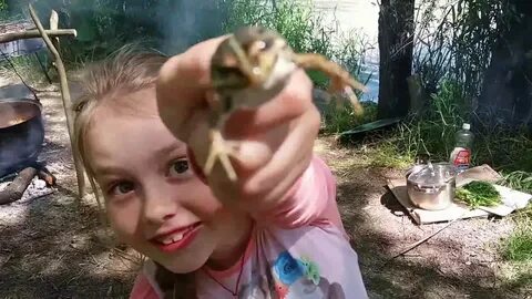 Как поймать лягушку