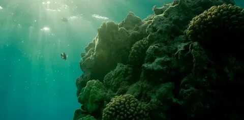 Ocean story