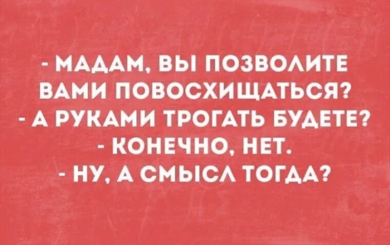 Разрешала лапать. Шутки про мадам. Цитаты про мадам. Прикольные высказывания про мадам. Статусы про мадам.