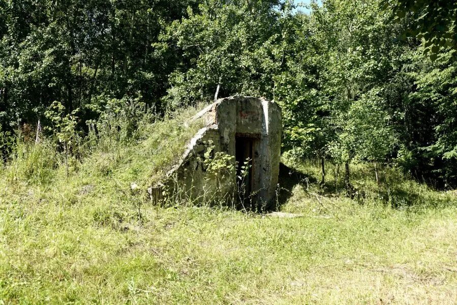 Урочище засека Рязань. Урочище Борок Тюмень. Урочище зеленый Борок Курганская область. Урочище Борки. Д засеки