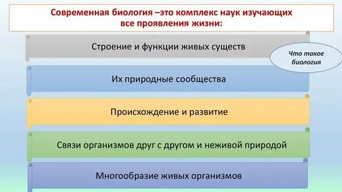 Комплекс общественных наук изучающих прошлое