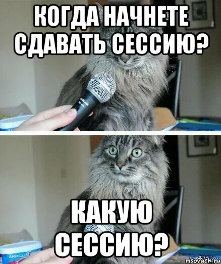 Сдача сессии мемы. Сессия сдана. Мемы про сессию. Смешные мемы про сдачу сессии