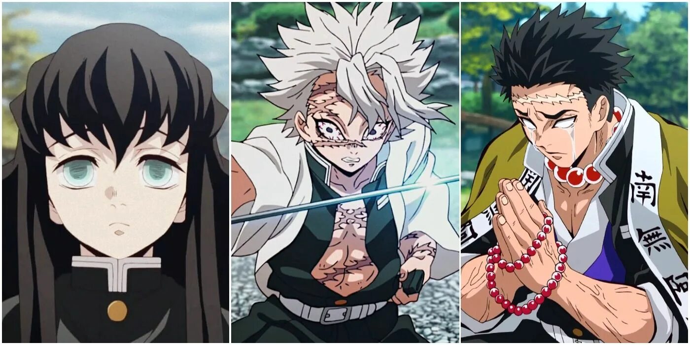 Demon Slayer Хашира. Demon Slayer all Hashiras. Demon Slayer Hashira names. Demon Slayer all characters. Hashira training arc